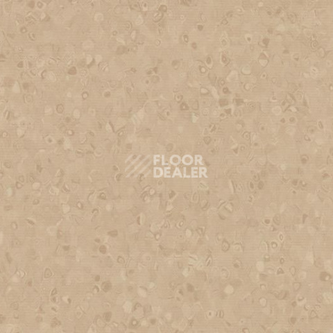 Линолеум Forbo Sphera Element 50024 stone фото 1 | FLOORDEALER